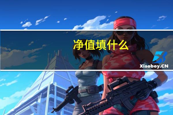 净值填什么
