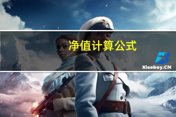 净值计算公式