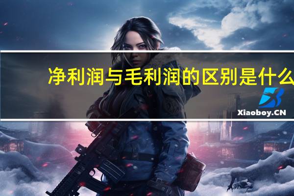 净利润与毛利润的区别是什么