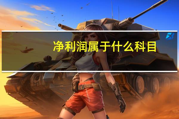 净利润属于什么科目