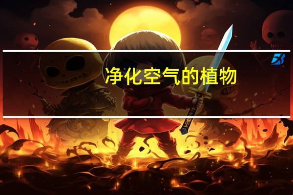 净化空气的植物