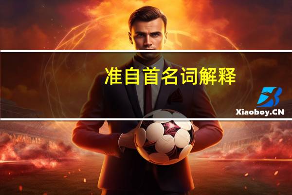 准自首名词解释