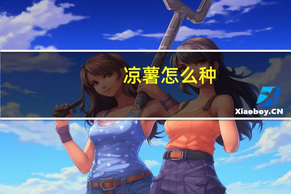 凉薯怎么种