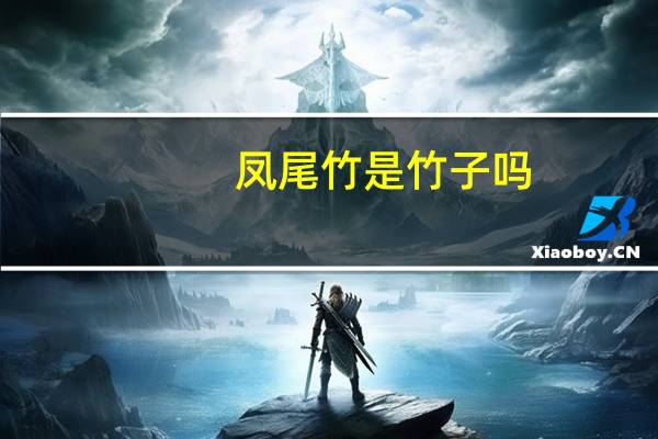 凤尾竹是竹子吗