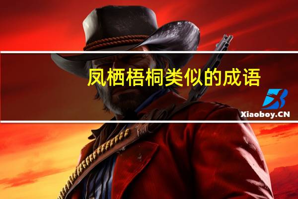 凤栖梧桐类似的成语