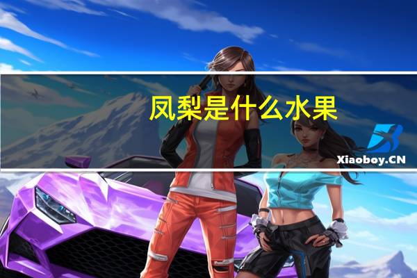 凤梨是什么水果