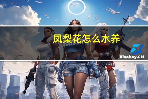 凤梨花怎么水养