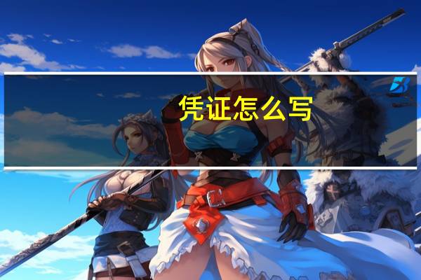 凭证怎么写