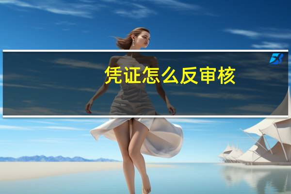 凭证怎么反审核