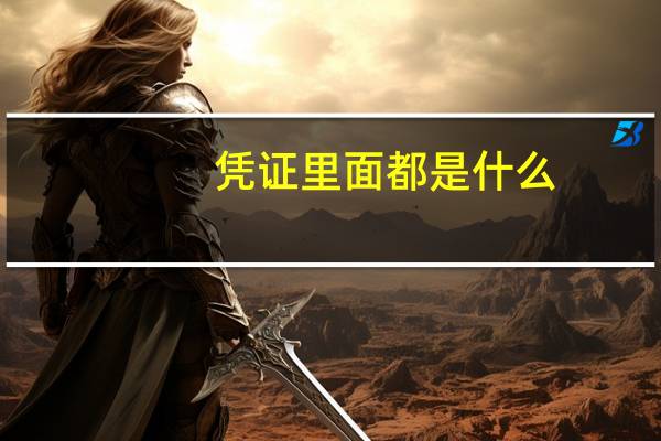 凭证里面都是什么