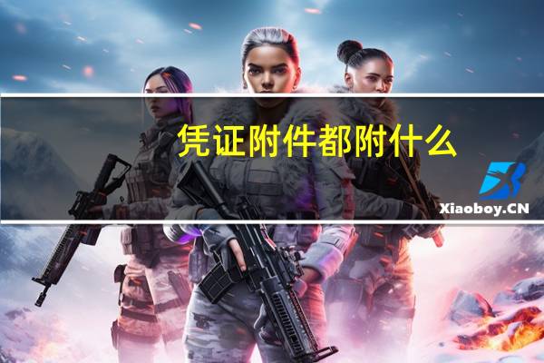 凭证附件都附什么