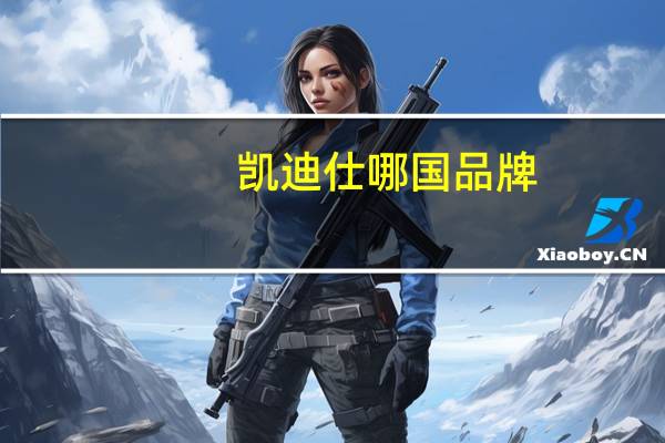 凯迪仕哪国品牌
