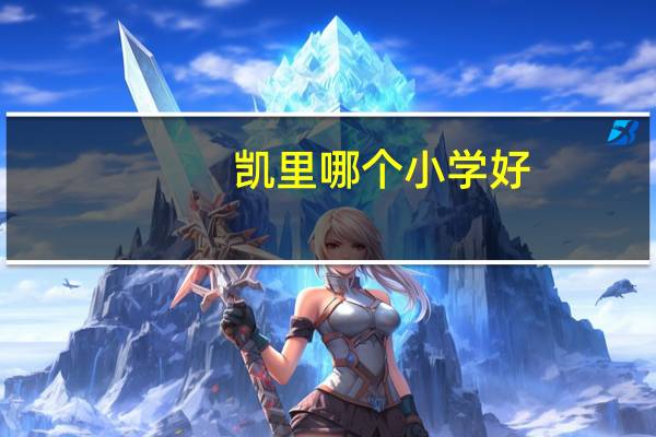 凯里哪个小学好