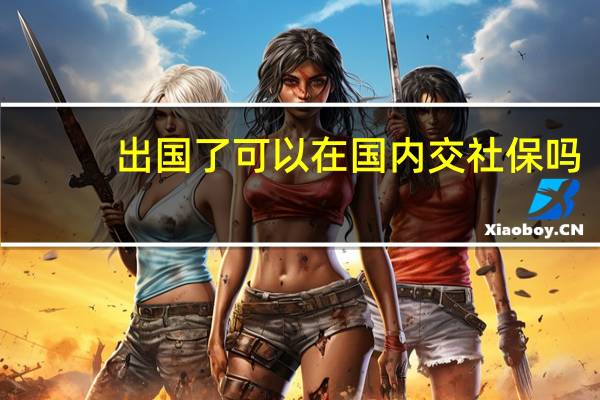 出国了可以在国内交社保吗