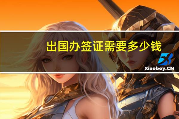 出国办签证需要多少钱