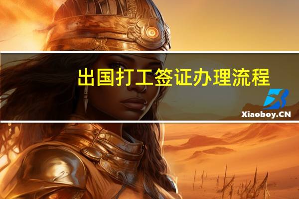 出国打工签证办理流程