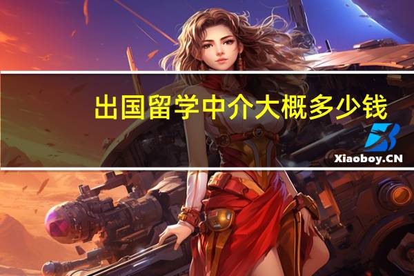 出国留学中介大概多少钱
