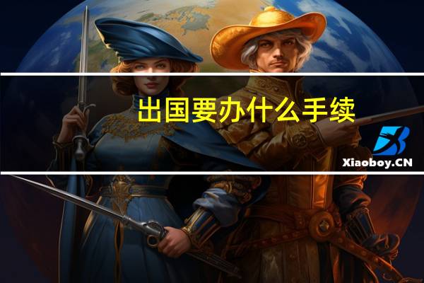 出国要办什么手续