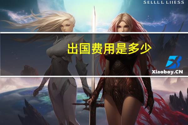出国费用是多少