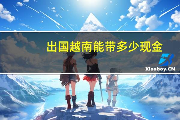 出国越南能带多少现金