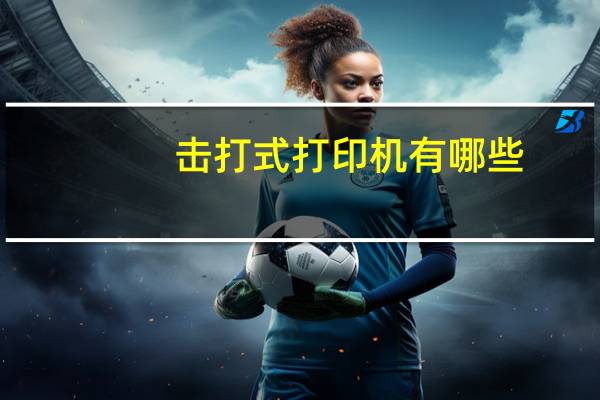 击打式打印机有哪些