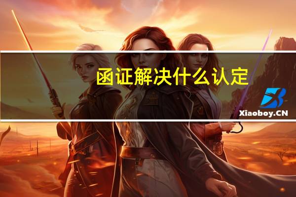 函证解决什么认定