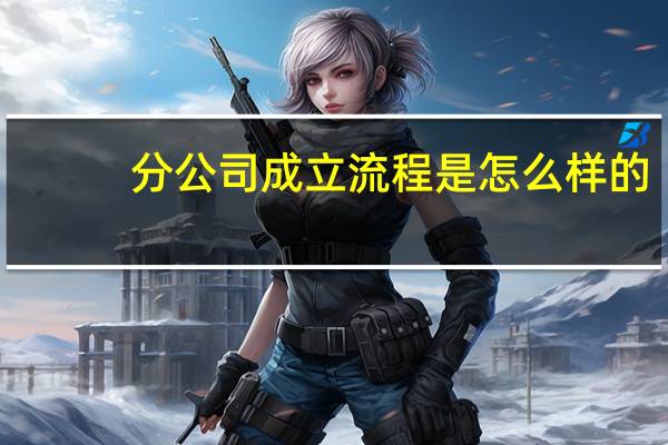 分公司成立流程是怎么样的