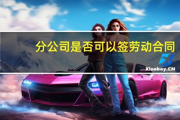 分公司是否可以签劳动合同