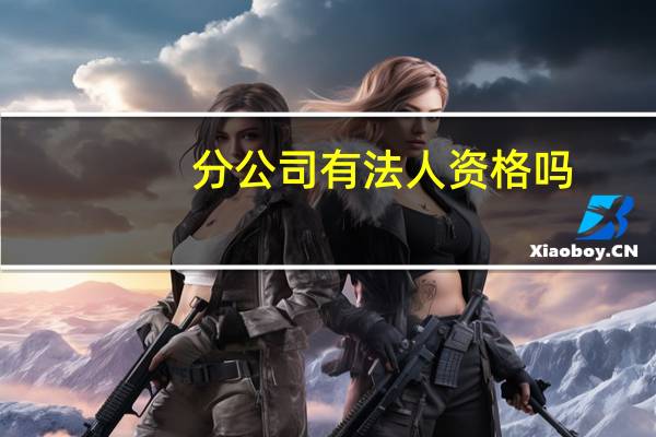 分公司有法人资格吗