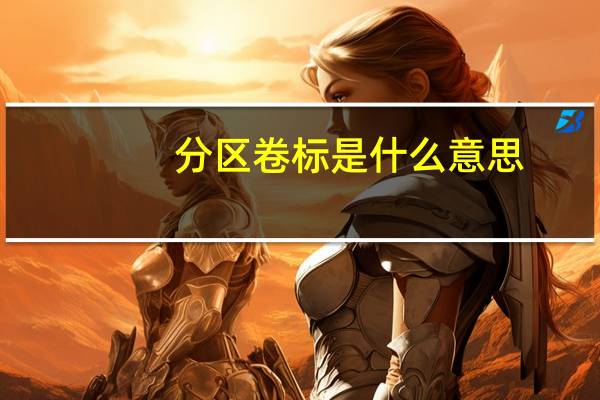 分区卷标是什么意思