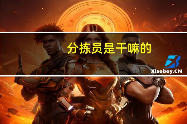 分拣员是干嘛的