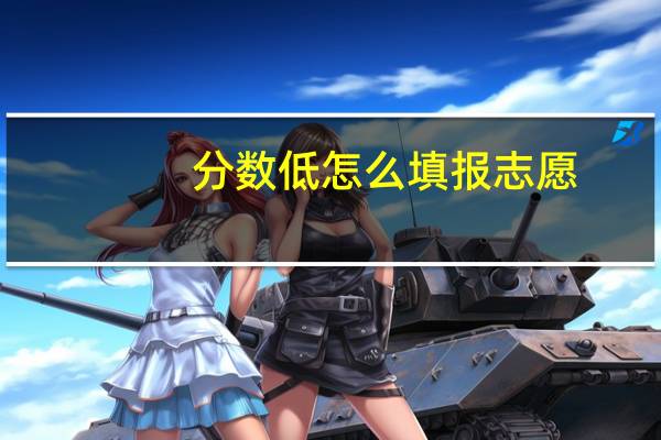 分数低怎么填报志愿