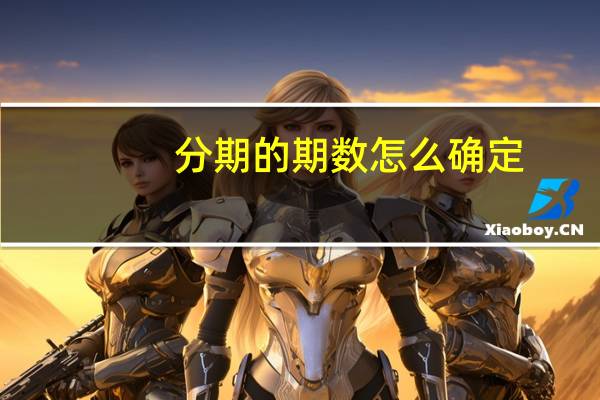分期的期数怎么确定
