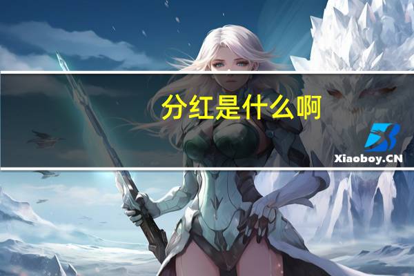 分红是什么啊