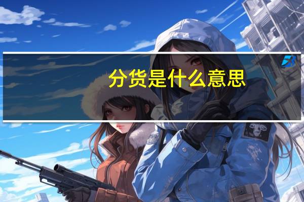 分货是什么意思