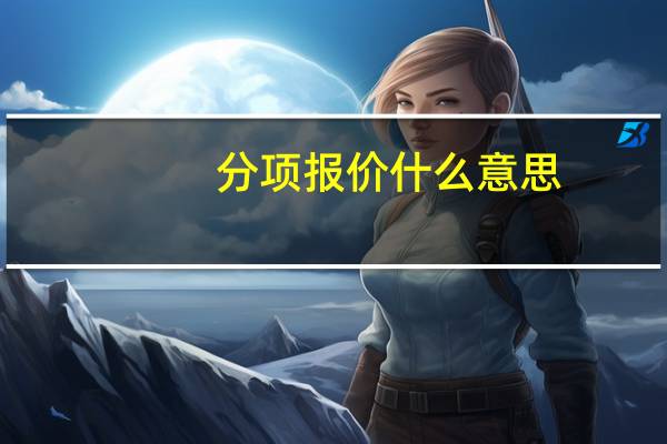 分项报价什么意思