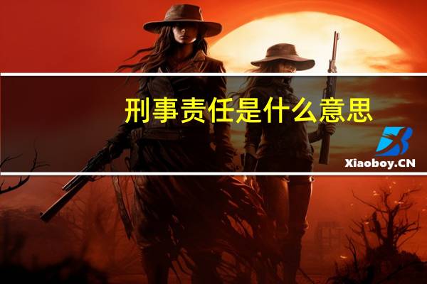 刑事责任是什么意思