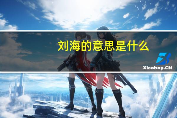 刘海的意思是什么