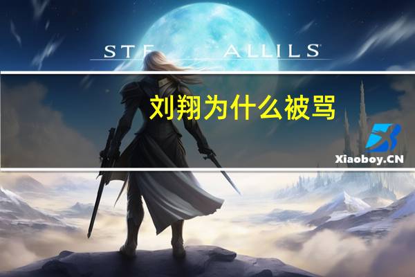 刘翔为什么被骂