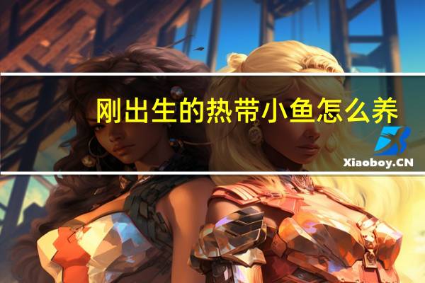 刚出生的热带小鱼怎么养