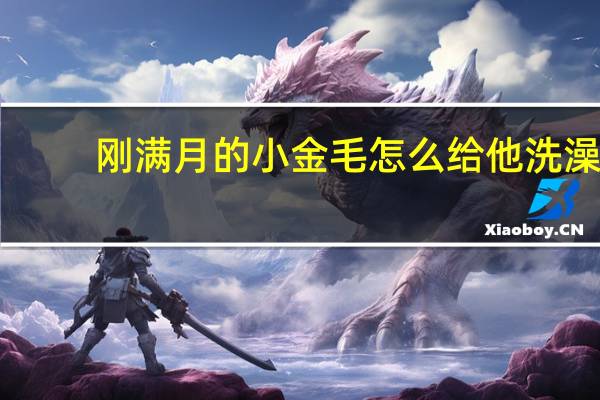 刚满月的小金毛怎么给他洗澡