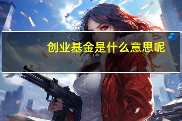 创业基金是什么意思呢