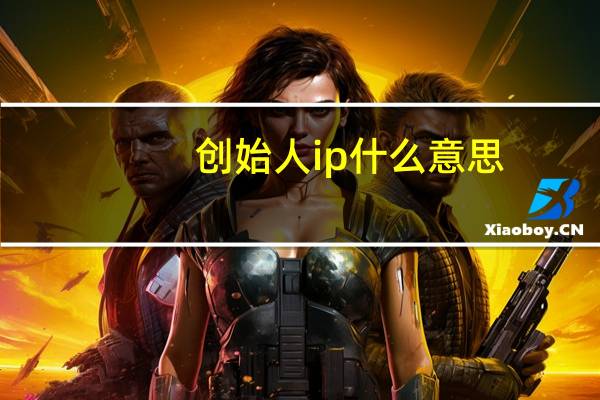 创始人ip什么意思