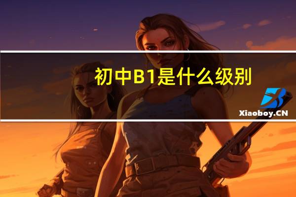 初中B1是什么级别