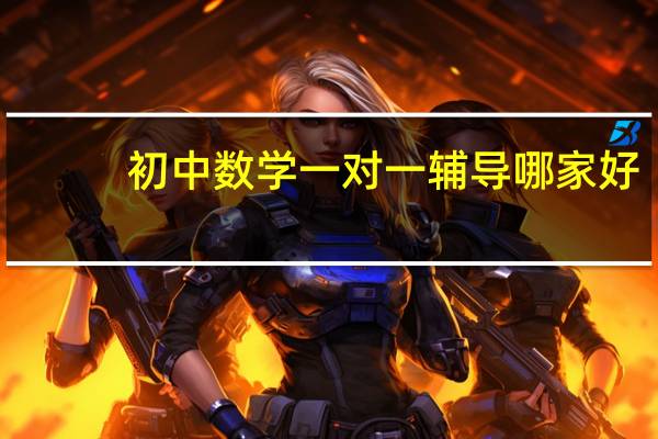 初中数学一对一辅导哪家好