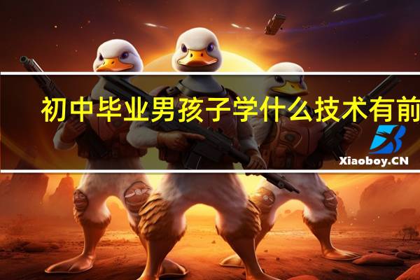 初中毕业男孩子学什么技术有前途