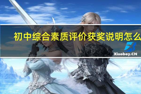 初中综合素质评价获奖说明怎么写