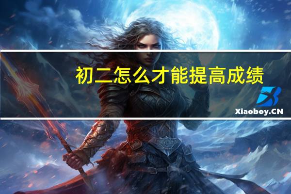 初二怎么才能提高成绩