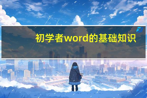 初学者word的基础知识