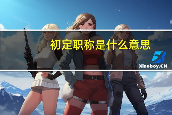 初定职称是什么意思